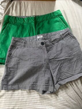 Crown & Ivy - Green & Pin Stripe (White & Navy) Cotton Blend Women's Shorts